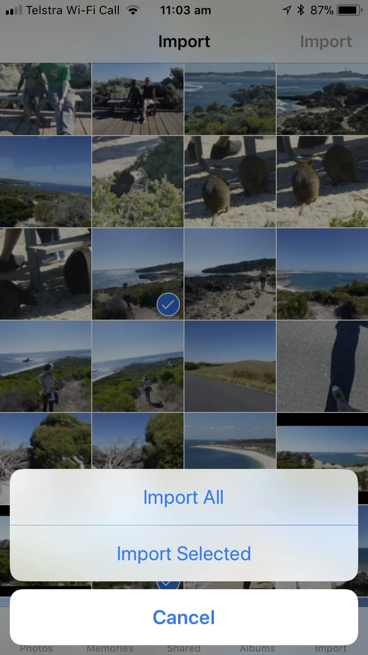 Import selection