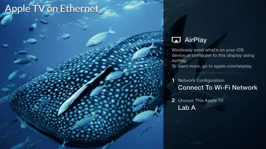 Conference Room Display Options on Ethernet