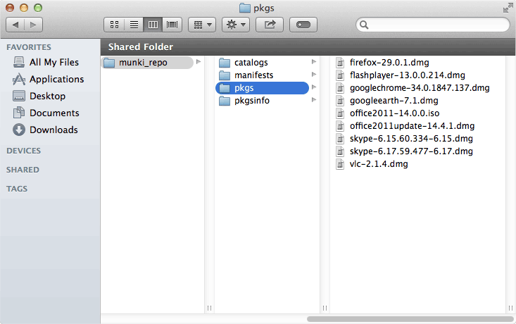 pkg directory